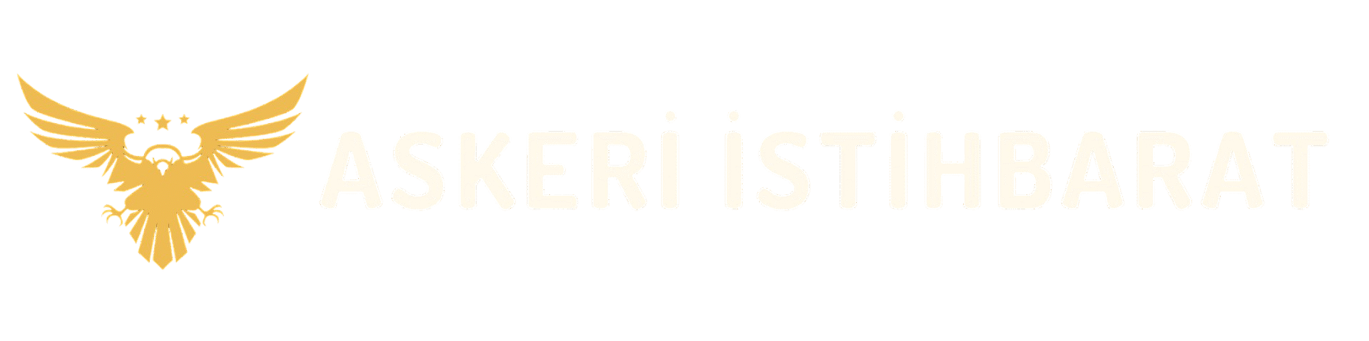 askeri İstihbarat (1)